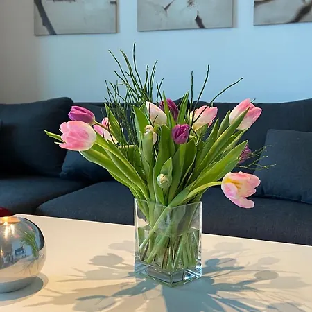 Weisses Haus Plau * Plau am See